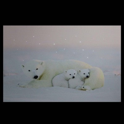 Northlight Fiber Optic Lighted Mama Polar Bear And Cubs Canvas Wall Art 23.5" X 15.5"