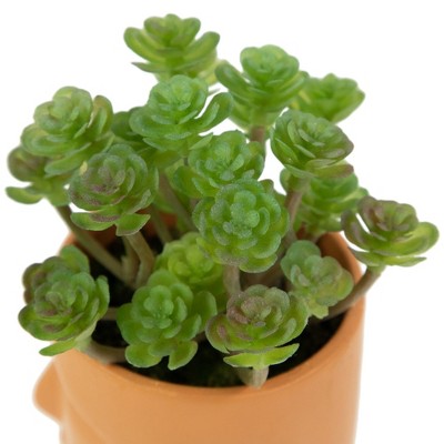 Northlight 5.5" Mini Artificial Succulent In Face Planter Pot