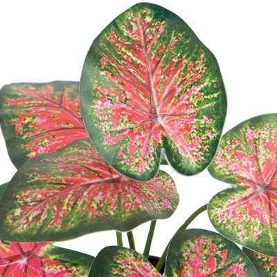 Northlight 8" Rohdea Spring Floral Artificial Potted Plant