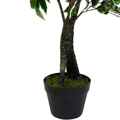 Northlight 47" Artificial Variegated Green And Ivory Leaf Ficus Potted Plant