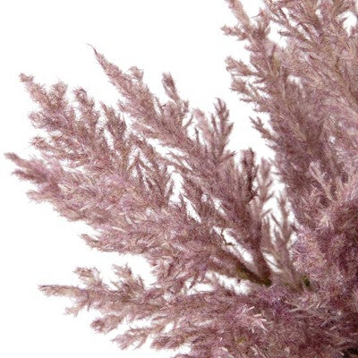 Northlight 12" Artificial Purple Cypress Plant In A Ceramic Pot