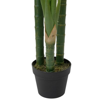 Northlight 59" Artificial Wide Leaf Green Dieffenbachia Potted Plant