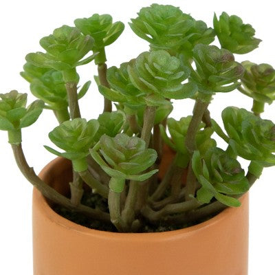  Northlight 5.5" Mini Artificial Succulent In Face Planter Pot