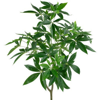  Northlight 4' Artificial Unbraided Potted Green Money Tree
