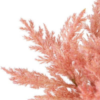  Northlight 12" Pink Cypress Artificial Plant In A Ceramic Pot