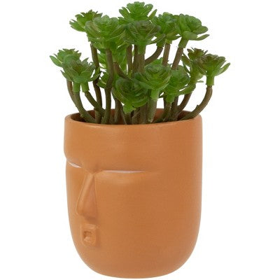  Northlight 5.5" Mini Artificial Succulent In Face Planter Pot
