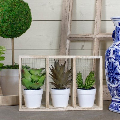  Northlight 10.75" Artificial Mixed Potted Succulents In Wooden Box