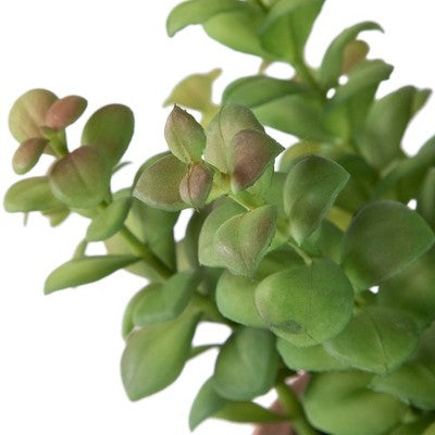  Northlight Real Touch™ Artificial Privet Plant In Vintage Milk Can Style Earthenware Pot - 14"