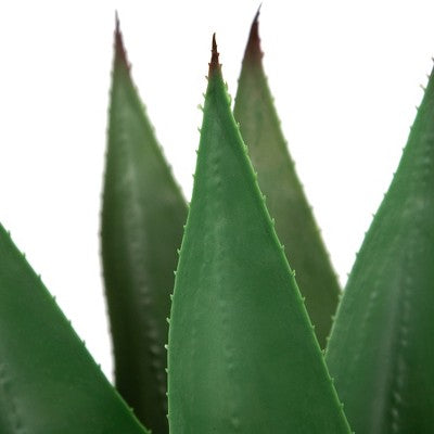  Northlight 26" Green Agave Americana Succulent Artificial Potted Plant
