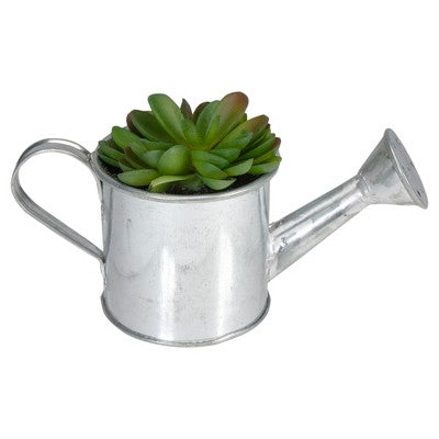  Northlight 4" Echeveria Succulent In Watering Can Artificial Potted Plant - Green/Silver