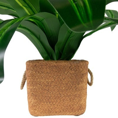  Northlight 27" Artificial Dracaena Plant In Square Rattan Pattern Ceramic Pot