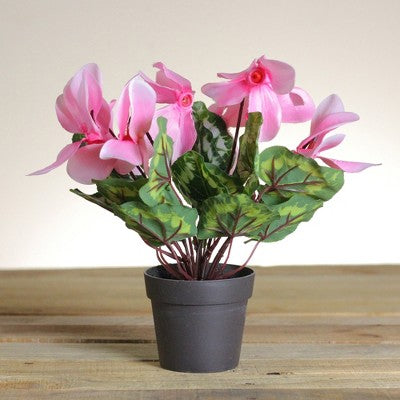  Northlight 12" Pink Potted Cyclamen Spring Artificial Floral Arrangement