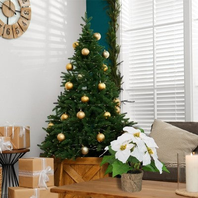  Northlight 11.75" LED Artificial White Poinsettia Potted Plant - Clear Lights