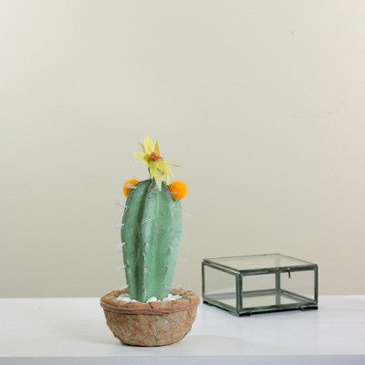  Northlight 12" Flowering Cactus Artificial Potted Plant - Green/Brown