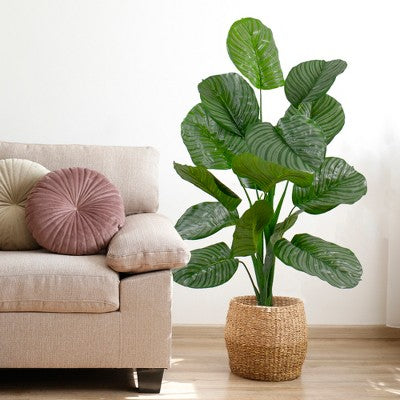  Northlight 4' Potted Two Tone Green Calathea Artificial Floor Plant