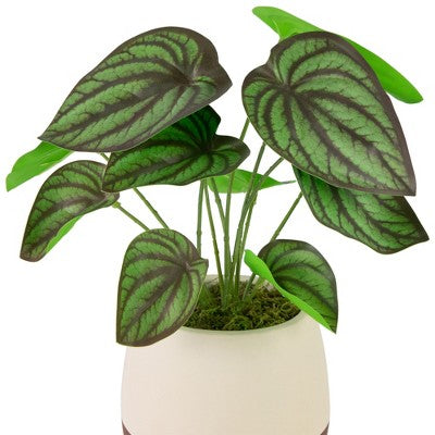  Northlight 10.25" Artificial Peperomia Plant In Two-Tone Ceramic Pot