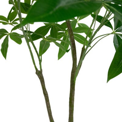  Northlight 4' Artificial Unbraided Potted Green Money Tree