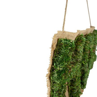  Northlight 24" Cozy Brown And Green “Home” Hanging Wall Decoration