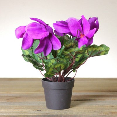  Northlight 12" Purple Potted Artificial Cyclamen Floral Arrangement