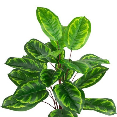  Northlight 30" Two-Tone Green Calathea Artificial Potted Plant
