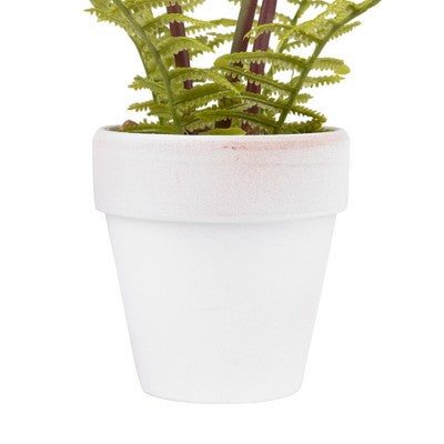  Northlight Succulent Fern In Ceramic Pot - 8"