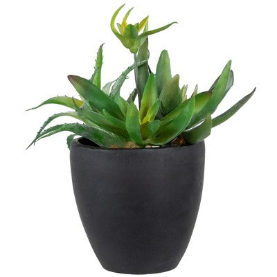  Northlight 11" Mixed Succulent Plant Artificial Potted Arrangement - Green/Black