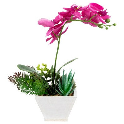  Northlight 12" Orchid With Succulent Artificial Potted Plant - Pink