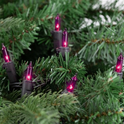  Northlight Mini Incandescent Christmas Lights - Purple - 20.25' Black Wire - 100ct