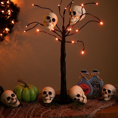  Northlight Skeleton Skull Halloween Decorations - 3.5" - Pack Of 6