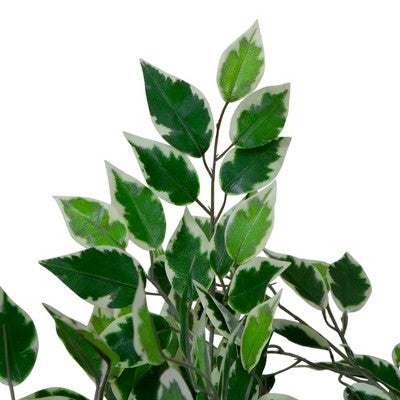  Northlight 47" Artificial Variegated Green And Ivory Leaf Ficus Potted Plant