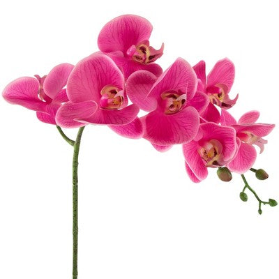  Northlight Real Touch™ Pink Artificial Spring Orchids In A Striped Ceramic Pot 2"