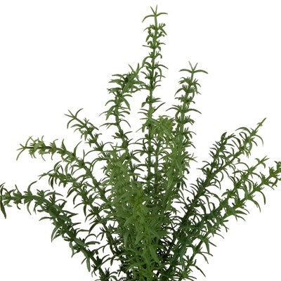  Northlight Real Touch™ Artificial Thyme Plant In Gray Ceramic Pot - 15"