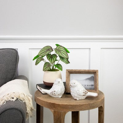  Northlight 10.25" Artificial Peperomia Plant In Two-Tone Ceramic Pot