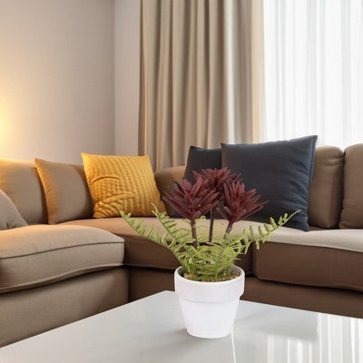  Northlight Succulent Fern In Ceramic Pot - 8"