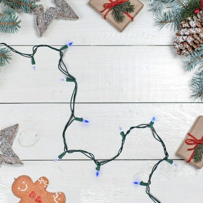  Northlight 100ct Mini LED String Lights Blue/Pure White - 33' Green Wire