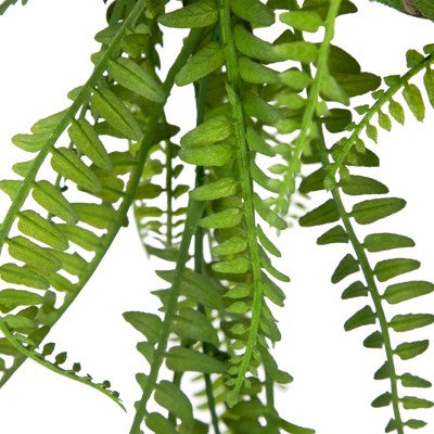  Northlight 18" Artificial Fern Plant With Moss Ball And Hanging Jute Cord