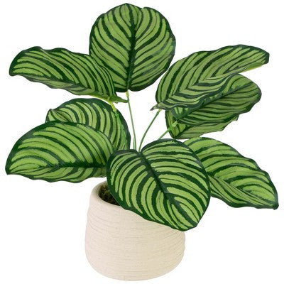  Northlight 13" Artificial Arrowroot Plant In Beige Ceramic Pot
