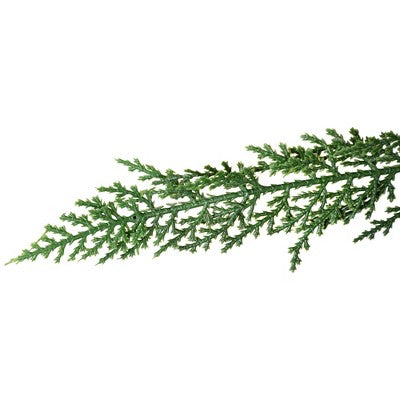  Northlight Pre-Lit Medium Weeping Cedar IPT Artificial Christmas Tree - 6.5' - Dual Color LED Lights