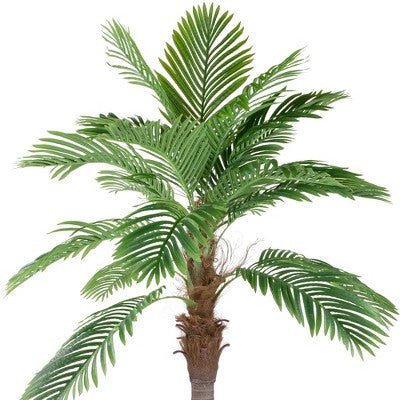  Northlight 8' Unlit Artificial Potted Phoenix Palm Tree
