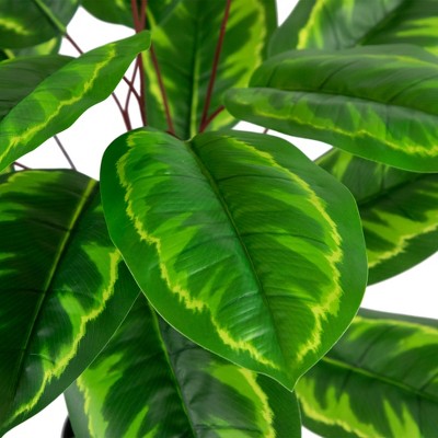  Northlight 30" Two-Tone Green Calathea Artificial Potted Plant