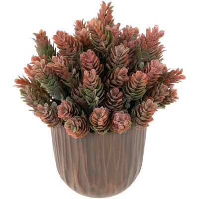  Northlight 8" Two-Tone Wild Flower Artificial Plant In A Textured Lined Pot