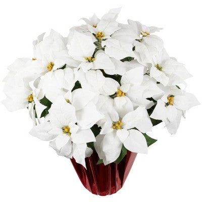  Northlight 26" White Artificial Christmas Poinsettia In Red Wrapped Base