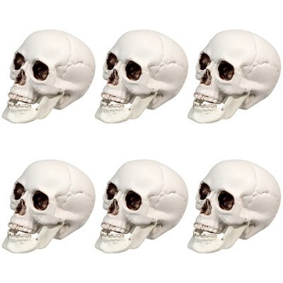  Northlight Skeleton Skull Halloween Decorations - 3.5" - Pack Of 6