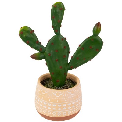  Northlight Real Touch™ Artificial Green And Red Potted Floral Cactus 9.5"