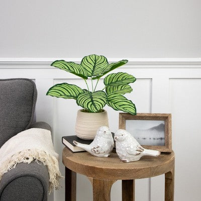  Northlight 13" Artificial Arrowroot Plant In Beige Ceramic Pot