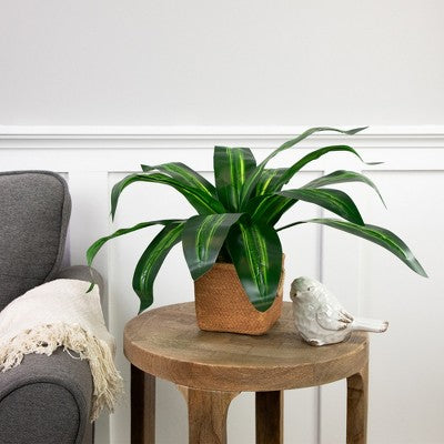  Northlight 27" Artificial Dracaena Plant In Square Rattan Pattern Ceramic Pot