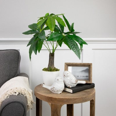  Northlight 18.5" Artificial Guiana Chestnut Plant In White Pot