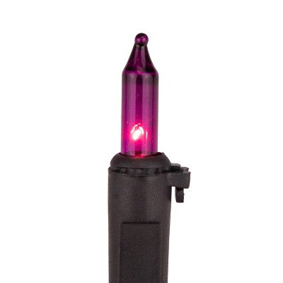  Northlight Mini Incandescent Christmas Lights - Purple - 7' Black Wire - 35ct