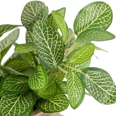 Northlight 8" Reticulated Artificial Spring Foliage In Ceramic Pot