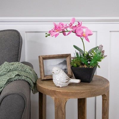  Northlight 13" Orchid With Succulent Artificial Potted Plant - Pink